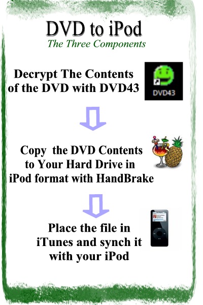 dvd to ipod process