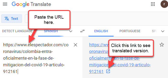 view-translated-page-in-google-translate